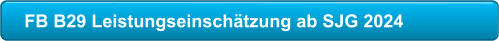 FB B29 Leistungseinschätzung ab SJG 2024