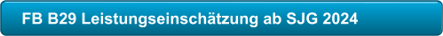 FB B29 Leistungseinschätzung ab SJG 2024