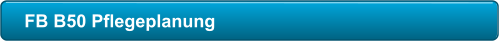 FB B50 Pflegeplanung